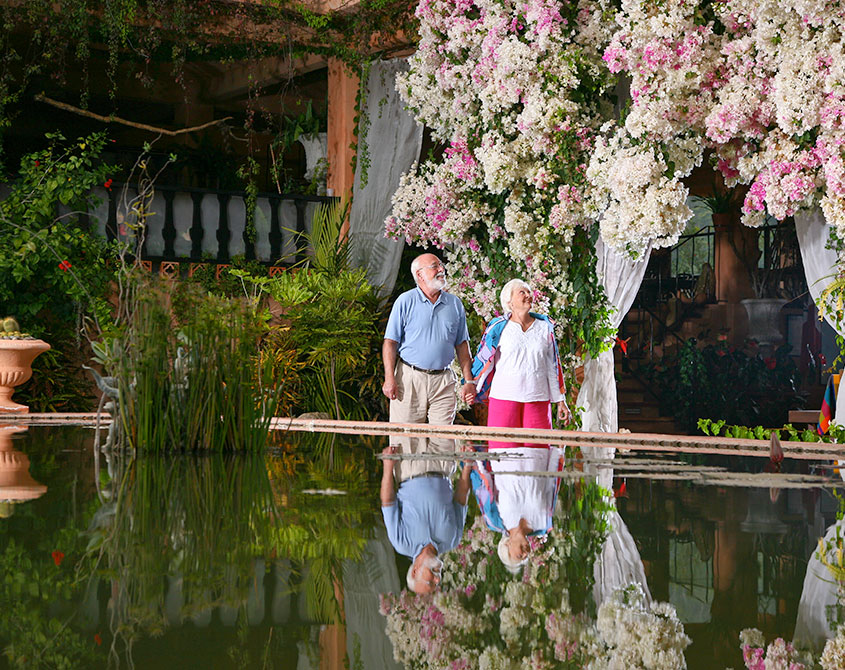 Things to do in Puerto Vallarta - Botanical Gardens