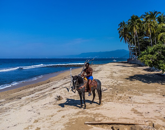 Horse Back Riding